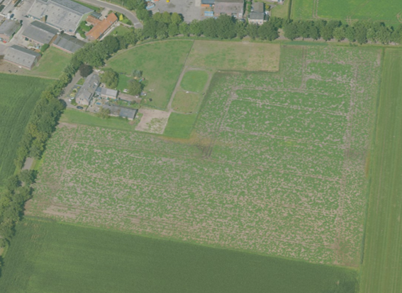 Medium property photo - Hool, 5469 Erp